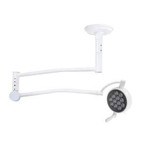 Hospital Operation and Examination Delicated Ceiling Type Checking Lamp With LED Cold Light Source ECOG053
